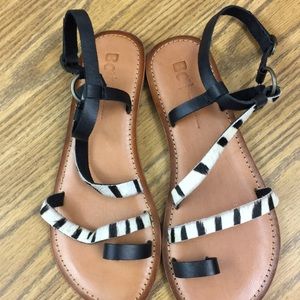 NEW...Flat, black spotted Sandals
